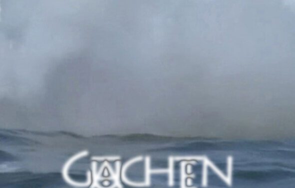 Elke Erb: Gutachten
