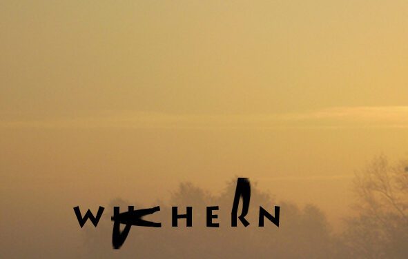 Tim Holland: vom wuchern