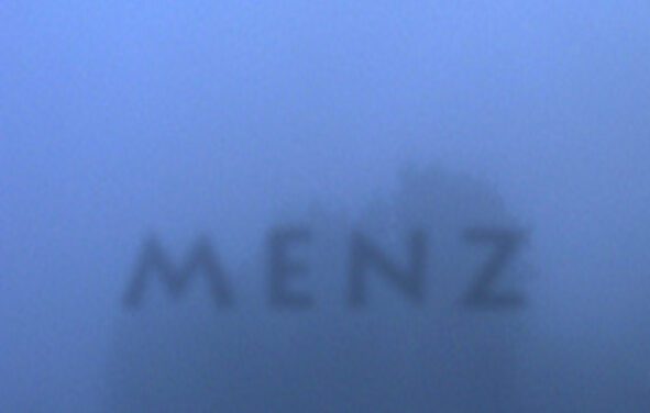 Peter Waterhouse: MENZ