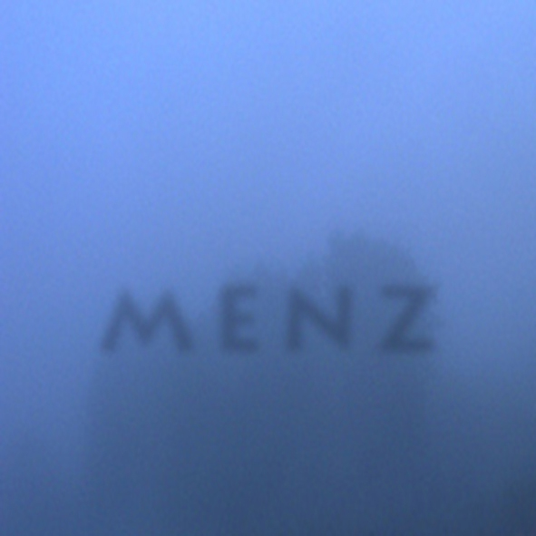 Peter Waterhouse: MENZ