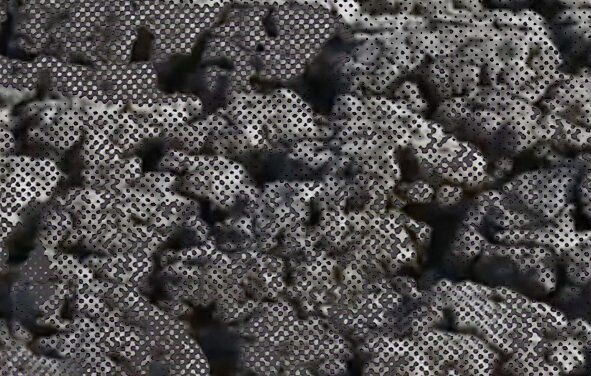 Nora Zapf: homogloben