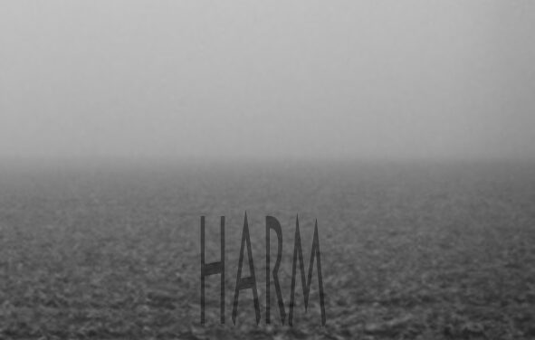 Bert Papenfuß: harm