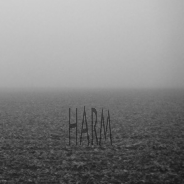 Bert Papenfuß: harm