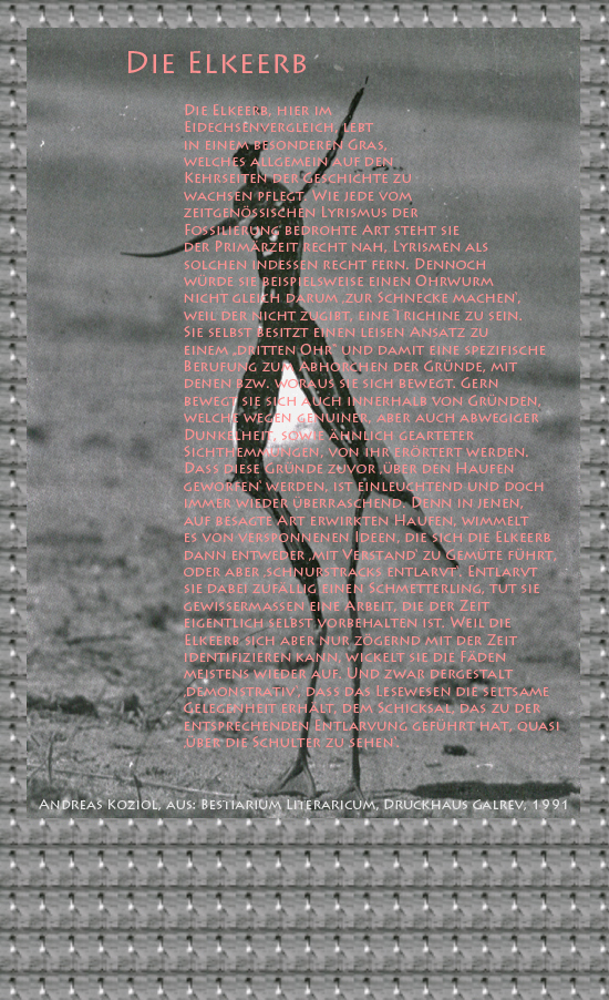 Die Elkeerb