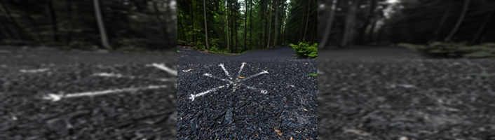 KIup von Juliane Duda zur Kategorie Helmut Böttiger: Orte Paul Celans