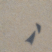 KIup zur Beitragskategorie von Hans Magnus Enzensberger: Geisterstimmen