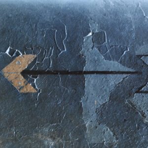 KIup für Beiträge, die mit dem Divi Pixel Flip-Box-Modul erstellt wurden