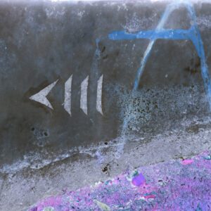 KIup für Beiträge, die mit dem Divi Pixel Flip-Box-Modul erstellt wurden