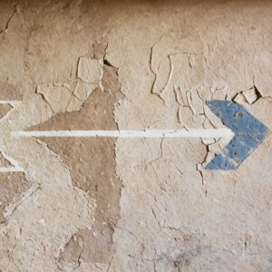 KIup für Beiträge, die mit dem Divi Pixel Flip-Box-Modul erstellt wurden