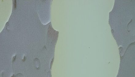 Pierre Chappuis: Blinde Distanz – Nachbemerkung