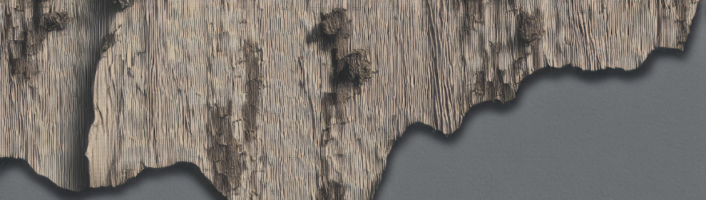 KIup zur Beitragskategorie Piere Chappuis: Blinde Distanz in der Übersetzung von Felix Philipp Ingold