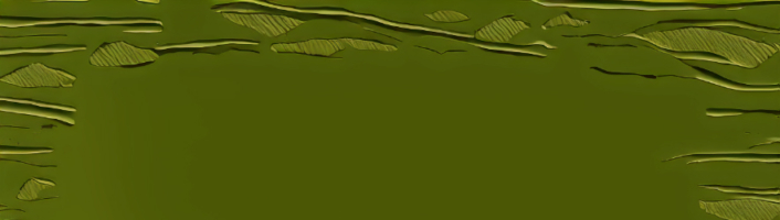 KIup zur Beitragskategorie Piere Chappuis: Blinde Distanz in der Übersetzung von Felix Philipp Ingold