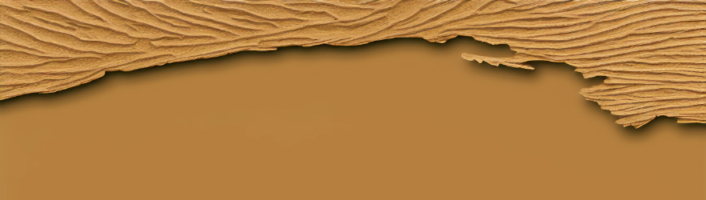 KIup zur Beitragskategorie Piere Chappuis: Blinde Distanz in der Übersetzung von Felix Philipp Ingold