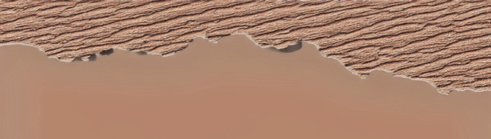 KIup zur Beitragskategorie Piere Chappuis: Blinde Distanz in der Übersetzung von Felix Philipp Ingold