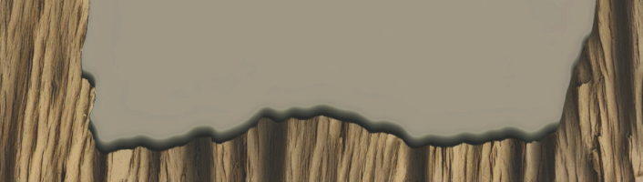 KIup zur Beitragskategorie Piere Chappuis: Blinde Distanz in der Übersetzung von Felix Philipp Ingold