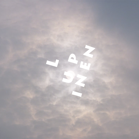 Jane Wels: Schwankende Lupinen