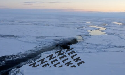 Franz Fühmann: Die Nelke Nikos